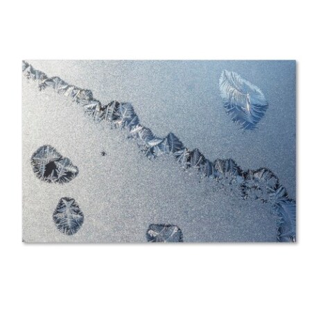 Trademark Fine Art Kurt Shaffer 'Amazing Frost on a Window' Canvas Art, 12x19 KS01062-C1219GG